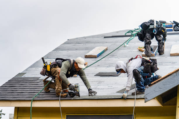 Professional Roofing technician working in Lamont, MI